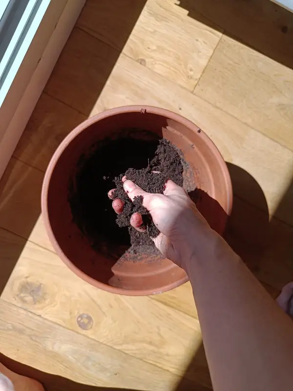 Mini-serre de semis préparée pour un atelier