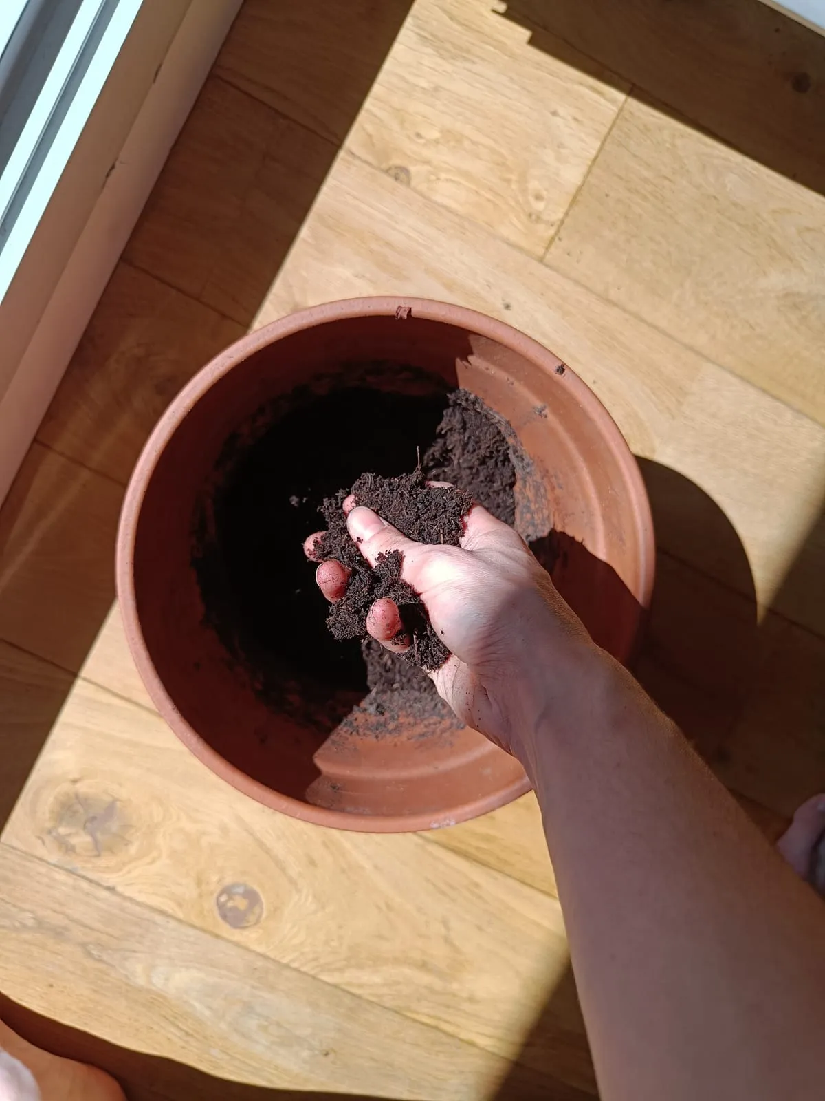 Mini-serre de semis préparée pour un atelier