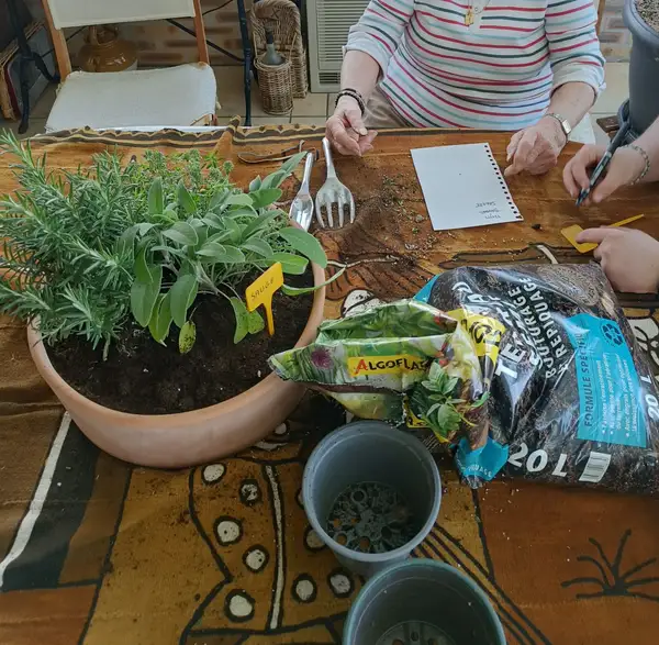 Participants autour d'une table lors d'un atelier d'hortithérapie