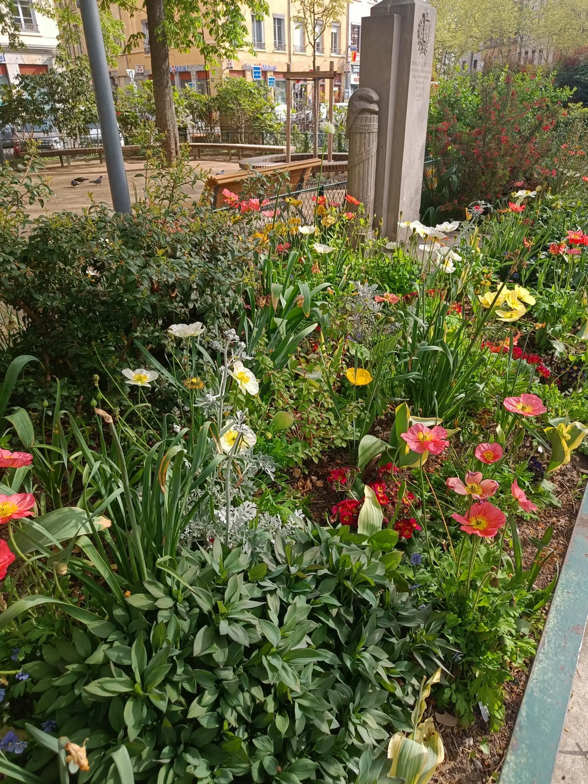 Massif fleuri dans un jardin urbain