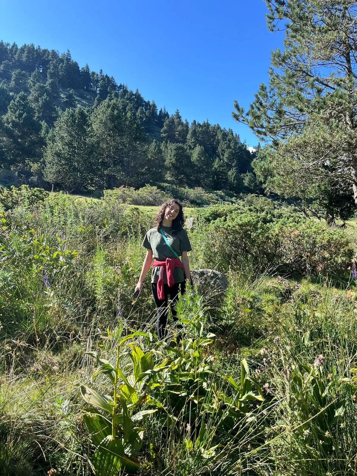Manon dans une prairie de montagne