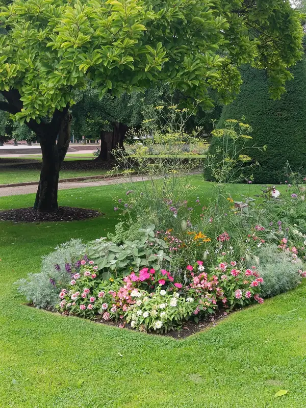 Massif fleuri dans un parc