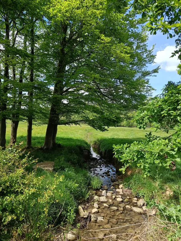 Rivière traversant une prairie